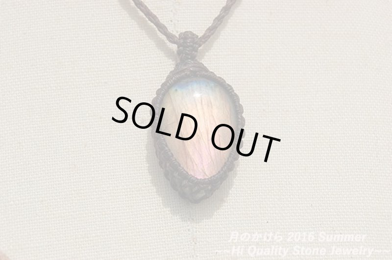 画像3: ★2016SUMMER★梅雨を抜けるとそこは常夏！ついに夏モデルの新作を発表中。：パーポーオレンジ (3)