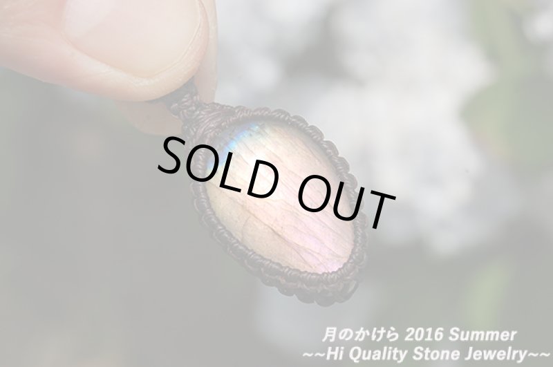 画像2: ★2016SUMMER★梅雨を抜けるとそこは常夏！ついに夏モデルの新作を発表中。：パーポーオレンジ (2)