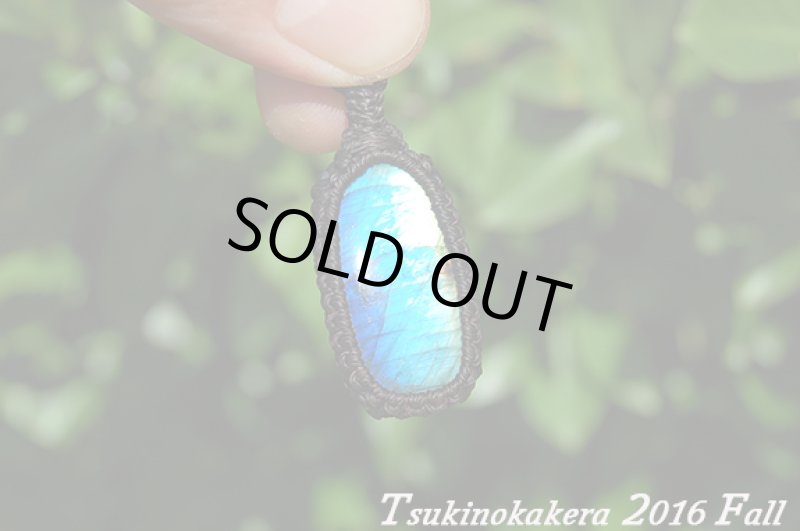 画像3: ☆2016Fall☆ついに秋物スペクトロの発表中!第二弾!おしゃれの秋:バイカラーシーナリ― (3)