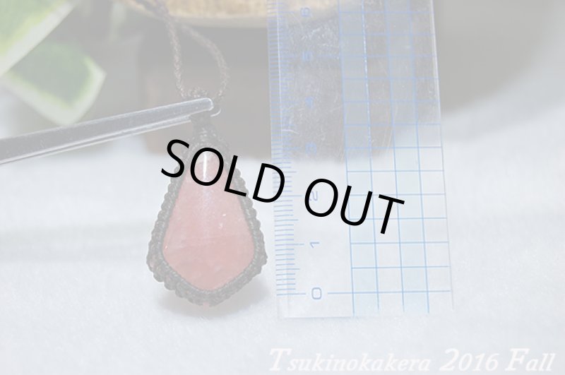 画像7: ☆2016Fall☆リクエストによってインカローズ復活!秋物第3弾!おしゃれの秋:紋章 (7)