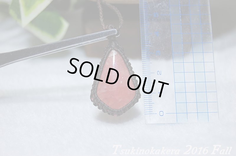 画像8: ☆2016Fall☆リクエストによってインカローズ復活!秋物第3弾!おしゃれの秋:紋章 (8)