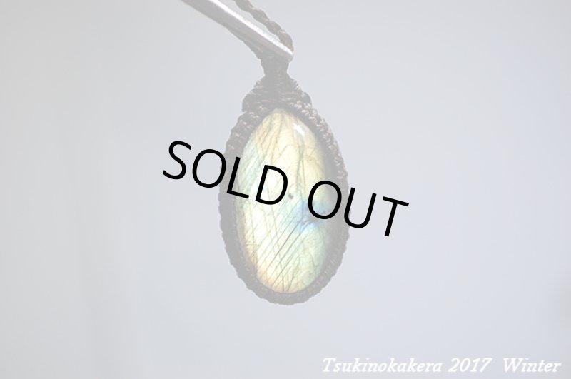 画像9: ☆2017Winter☆いよいよ今年も本気出していきます!コレクションピース大放出中！世界トップレベルに到達：イエローモンキー (9)