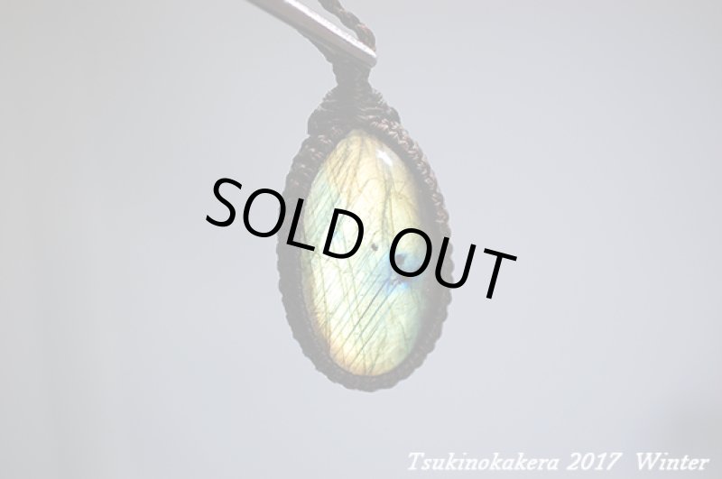 画像7: ☆2017Winter☆いよいよ今年も本気出していきます!コレクションピース大放出中！世界トップレベルに到達：イエローモンキー (7)