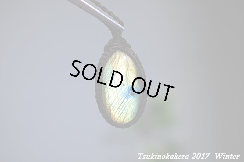 画像10: ☆2017Winter☆いよいよ今年も本気出していきます!コレクションピース大放出中！世界トップレベルに到達：イエローモンキー (10)