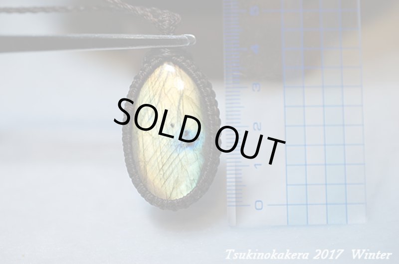 画像3: ☆2017Winter☆いよいよ今年も本気出していきます!コレクションピース大放出中！世界トップレベルに到達：イエローモンキー (3)