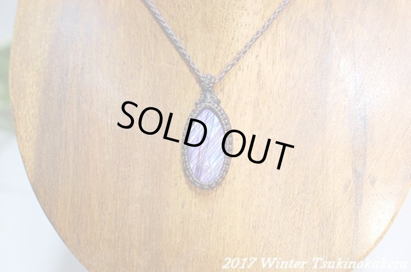 画像4: ☆2017Winter☆パープルフラッシュの奇跡。新作が続々登場中！：パープルレイン (4)