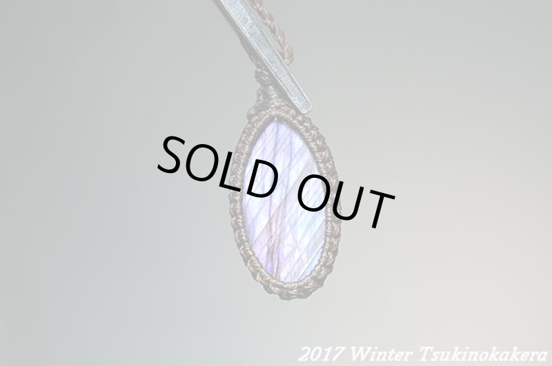 画像2: ☆2017Winter☆パープルフラッシュの奇跡。新作が続々登場中！：パープルレイン (2)