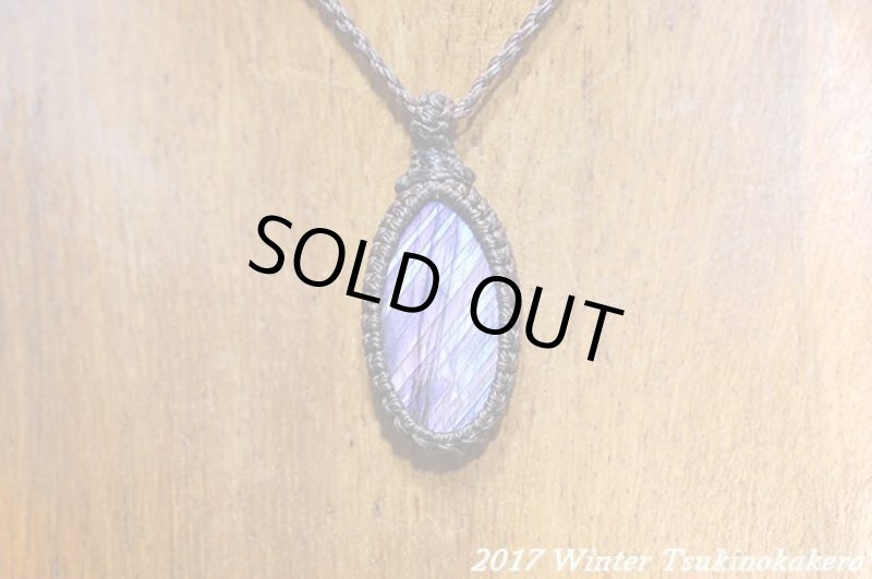 画像5: ☆2017Winter☆パープルフラッシュの奇跡。新作が続々登場中！：パープルレイン (5)