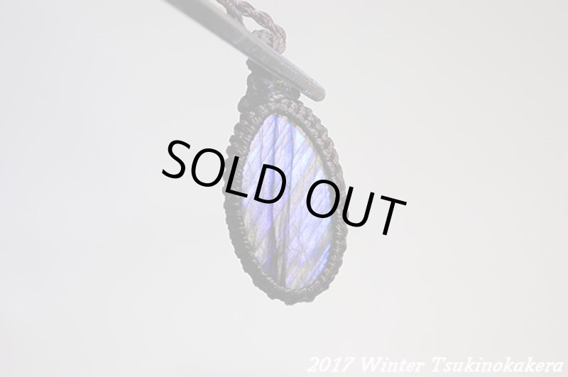 画像6: ☆2017Winter☆パープルフラッシュの奇跡。新作が続々登場中！：パープルレイン (6)