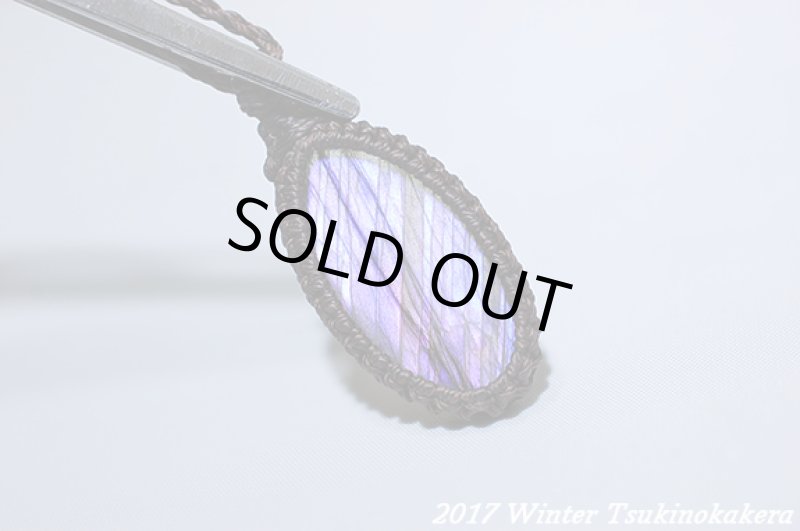 画像11: ☆2017Winter☆パープルフラッシュの奇跡。新作が続々登場中！：パープルレイン (11)