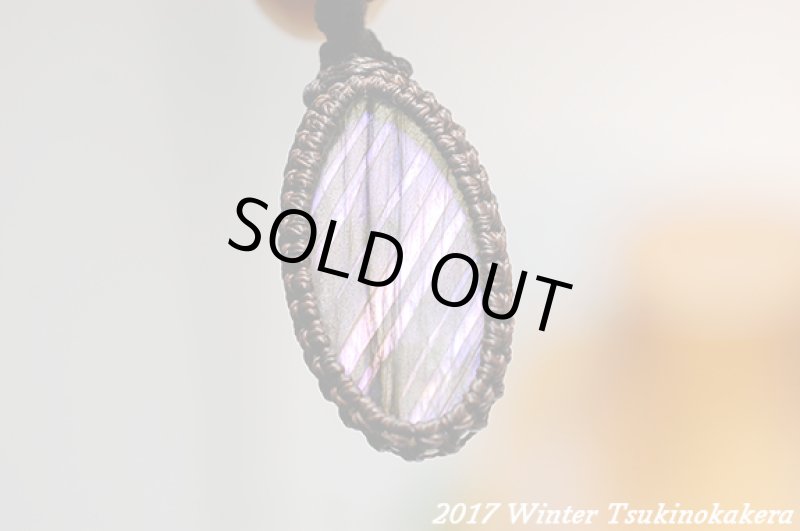 画像13: ☆2017Winter☆パープルフラッシュの奇跡。新作が続々登場中！：パープルレイン (13)