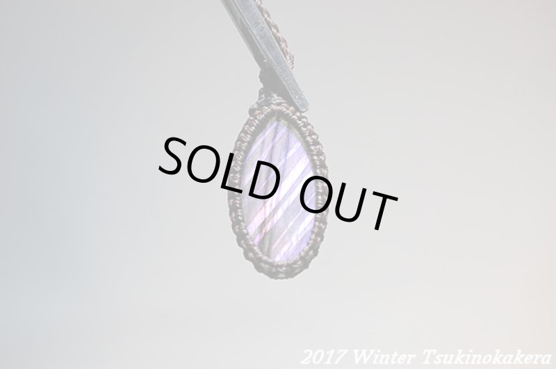 画像9: ☆2017Winter☆パープルフラッシュの奇跡。新作が続々登場中！：パープルレイン (9)