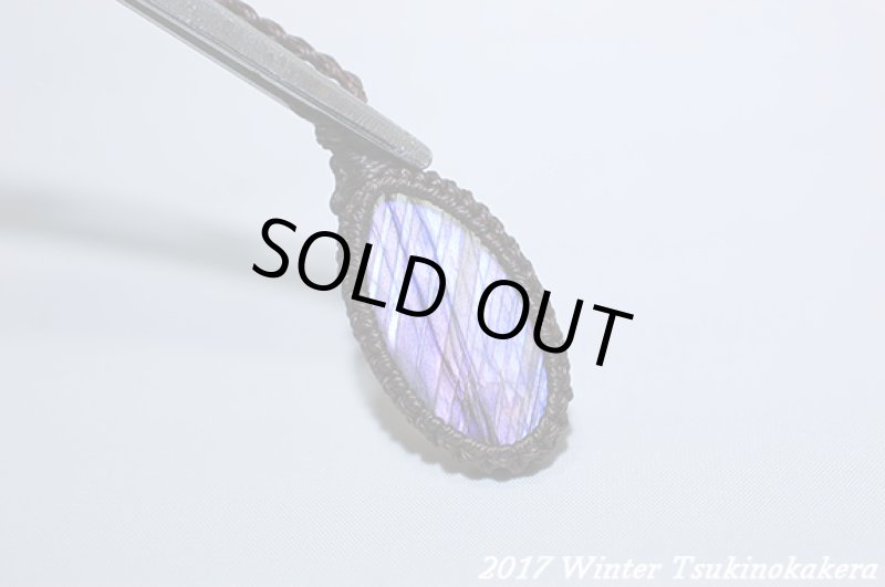 画像7: ☆2017Winter☆パープルフラッシュの奇跡。新作が続々登場中！：パープルレイン (7)