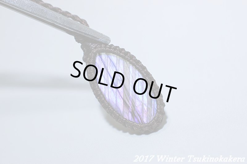 画像8: ☆2017Winter☆パープルフラッシュの奇跡。新作が続々登場中！：パープルレイン (8)