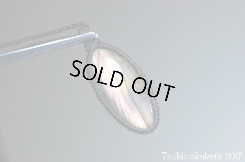 画像5: ☆9/26UP☆パープルピンク×イエロー:品の高いシラーが秋の風にのってやってきます:秋のオーバルコレクション:ファールスピリッツ (5)