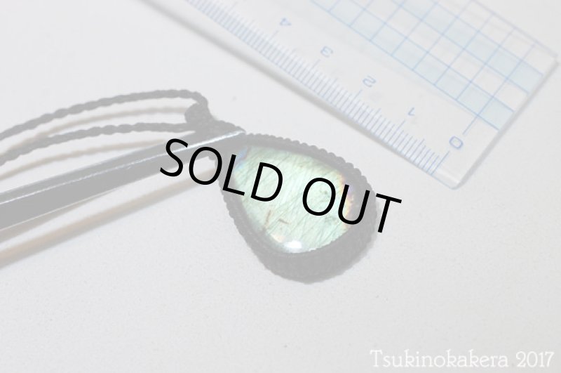 画像8: ☆9/26UP☆グリーンに輝くフルシラー：ティアドロップ；秋のティアドロップ (8)