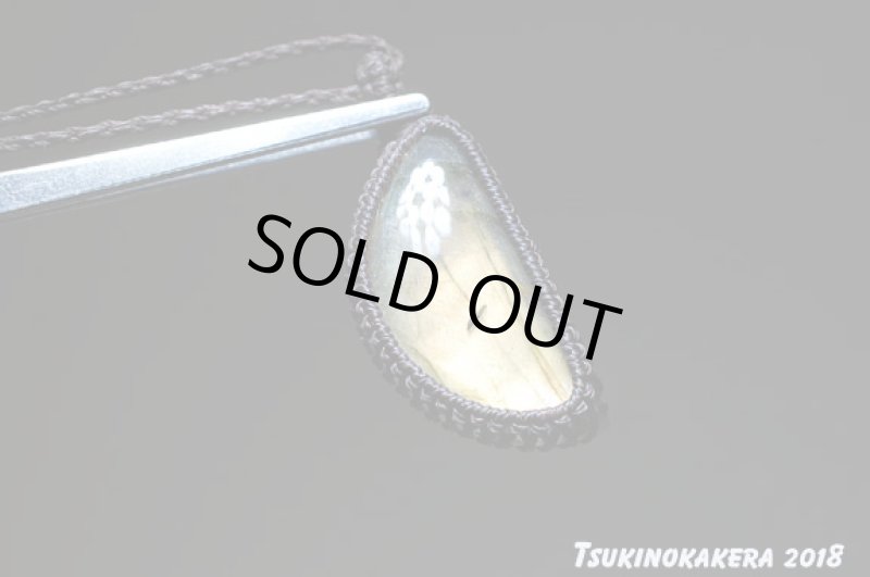 画像5: ☆01/01UP☆イエローバナナのお月様:かわいい三日月の形:マダガスカル産の美しいシラーの光:バナナお月様 (5)