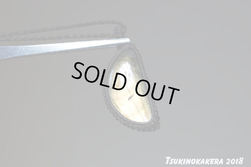 画像3: ☆01/01UP☆イエローバナナのお月様:かわいい三日月の形:マダガスカル産の美しいシラーの光:バナナお月様 (3)