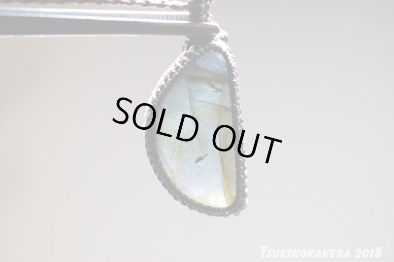 画像7: ☆01/01UP☆イエローバナナのお月様:かわいい三日月の形:マダガスカル産の美しいシラーの光:バナナお月様 (7)