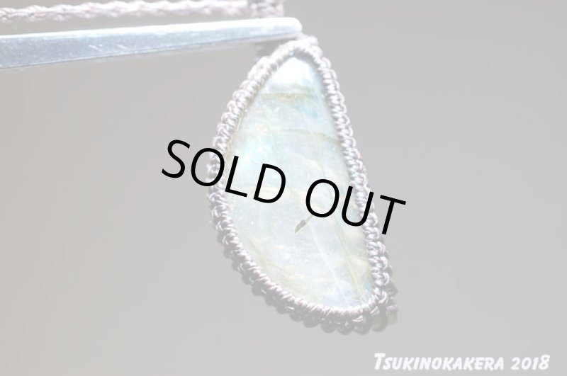 画像6: ☆01/01UP☆イエローバナナのお月様:かわいい三日月の形:マダガスカル産の美しいシラーの光:バナナお月様 (6)