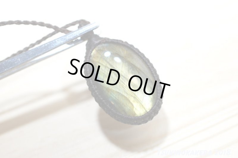 画像6: ☆01/01UP☆ゴールデンラブラ：美しいシラー：イエローシラーの輝き：王冠の輝き (6)