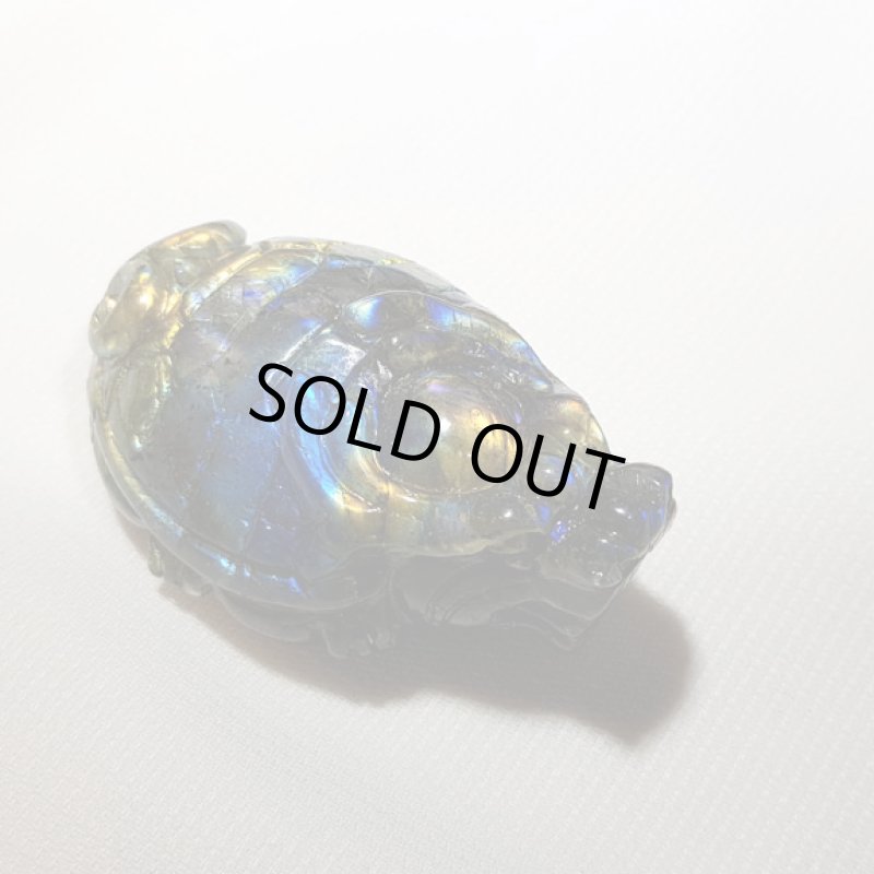 画像5: ☆06/10UP☆11周年ありがとうございます:中国でいま話題殺到の神様：貔貅：ラブラドライト：激レアピース:ヒキュウ先輩 (5)