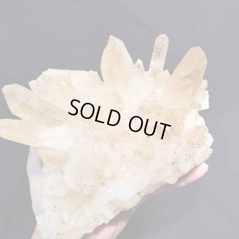 画像6: ☆01/01UP☆謹賀新年:マニハ―ルヒマラヤ水晶：外来種の来訪 (6)