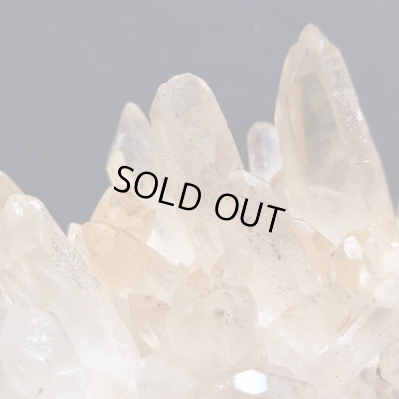 画像8: ☆01/01UP☆謹賀新年:マニハ―ルヒマラヤ水晶：外来種の来訪 (8)