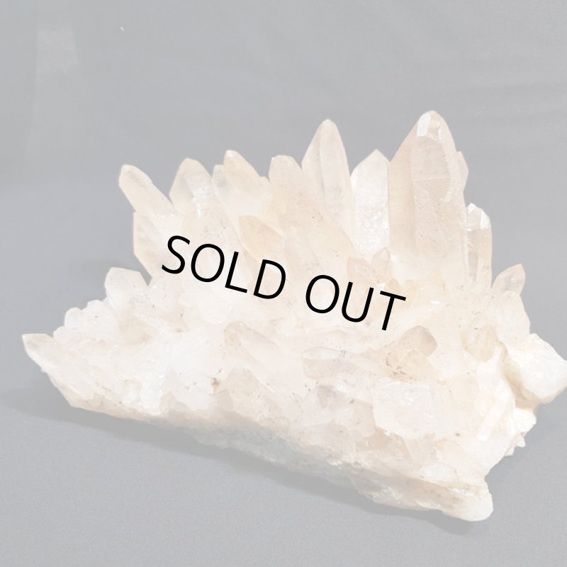 画像4: ☆01/01UP☆謹賀新年:マニハ―ルヒマラヤ水晶：外来種の来訪 (4)