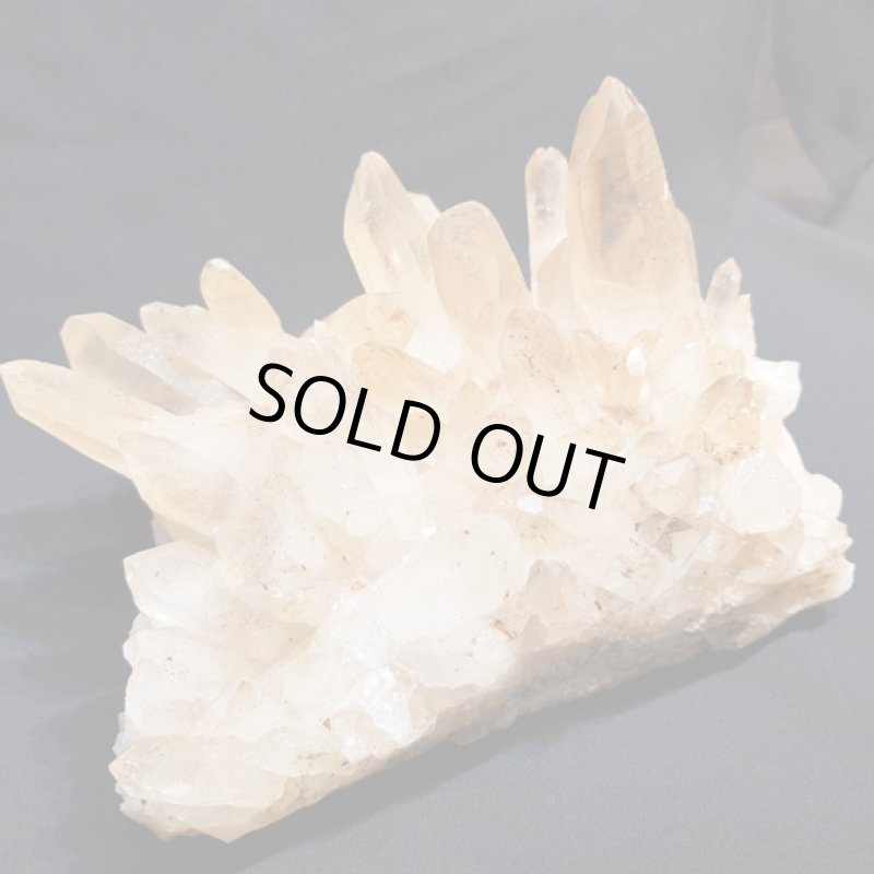 画像3: ☆01/01UP☆謹賀新年:マニハ―ルヒマラヤ水晶：外来種の来訪 (3)