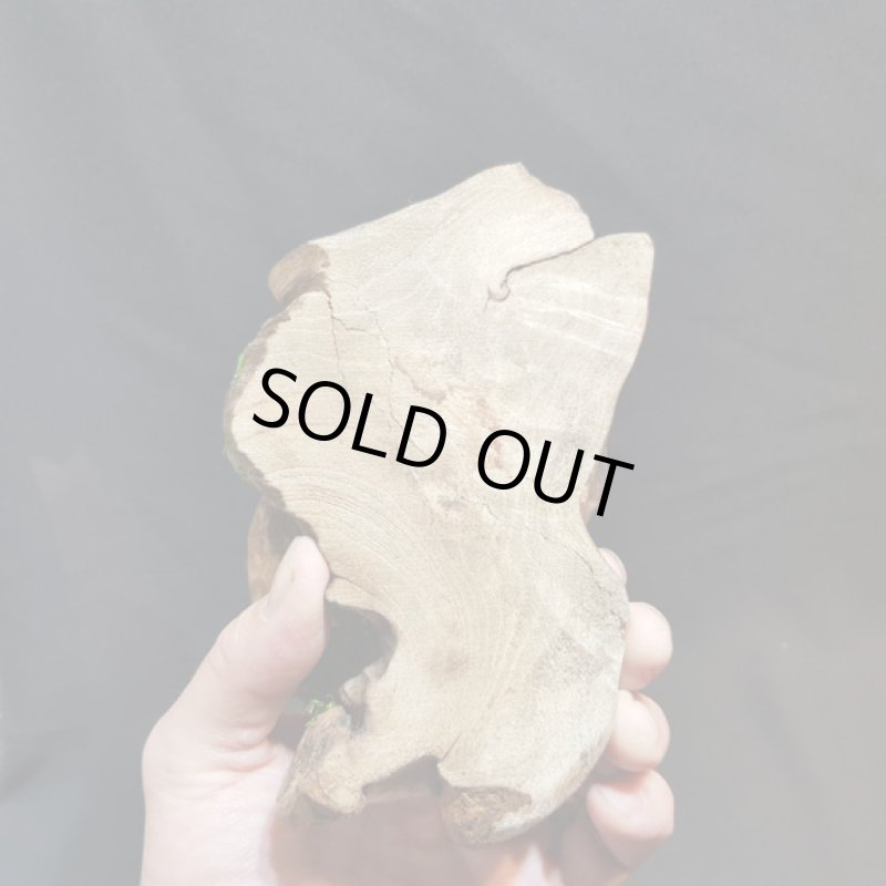 画像5: ☆01/01UP☆謹賀新年：モンゴル産水晶メルヘンワールド作品：メルヘンワールド1 (5)