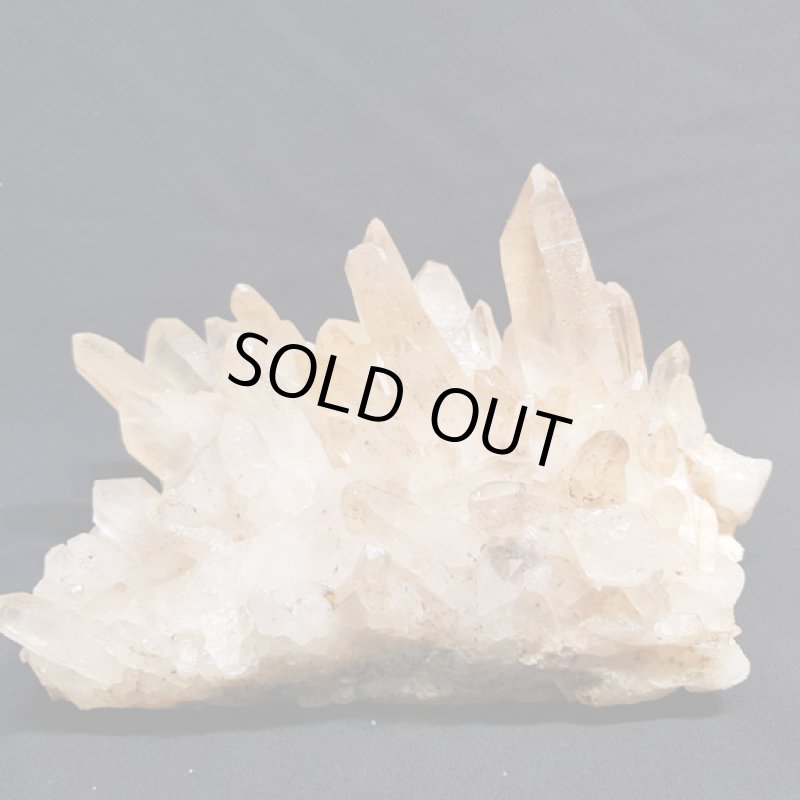 画像7: ☆01/01UP☆謹賀新年:マニハ―ルヒマラヤ水晶：外来種の来訪 (7)