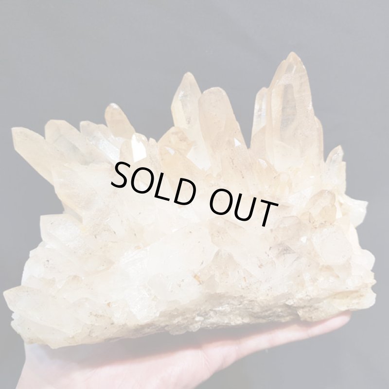 画像5: ☆01/01UP☆謹賀新年:マニハ―ルヒマラヤ水晶：外来種の来訪 (5)