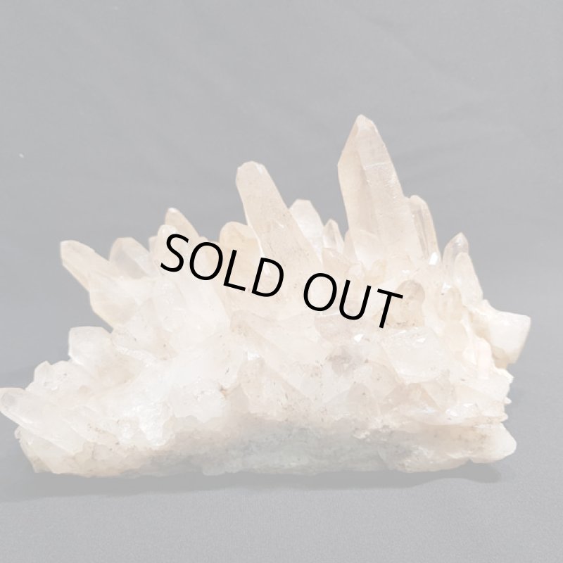 画像2: ☆01/01UP☆謹賀新年:マニハ―ルヒマラヤ水晶：外来種の来訪 (2)