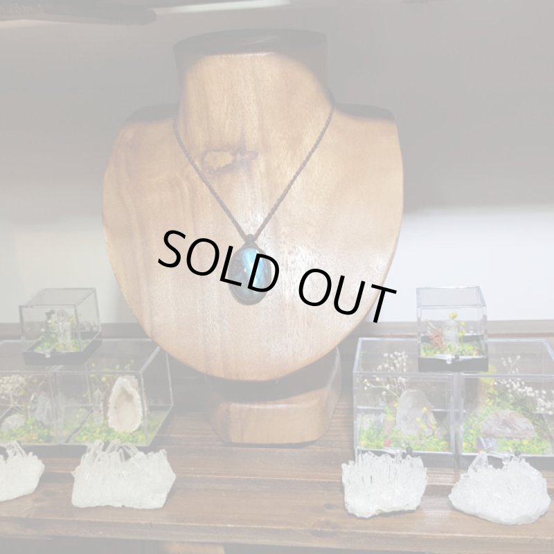 画像2: ☆06/30UP☆ラブラドライト見参：満月の世界へ:神聖なる世界：素敵なフラッシュ：22×30定型サイズ：栄光の彼方へ7 (2)