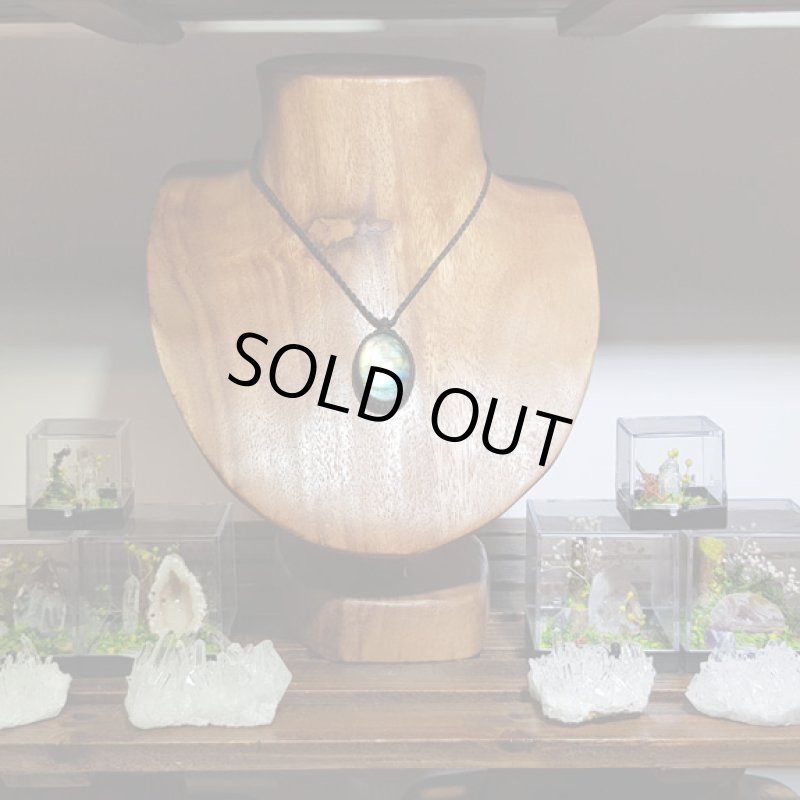 画像2: ☆06/30UP☆ラブラドライト見参：満月の世界へ:神聖なる世界：素敵なフラッシュ：22×30定型サイズ：栄光の彼方へ2 (2)