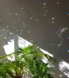 画像3: ☆12/19UP☆12月満月記念：超豪華アイリスクォーツ丸玉入り、小サイズ：太陽のエネルギーいっぱいのサンキャッチャー:光あふれる物語 (3)