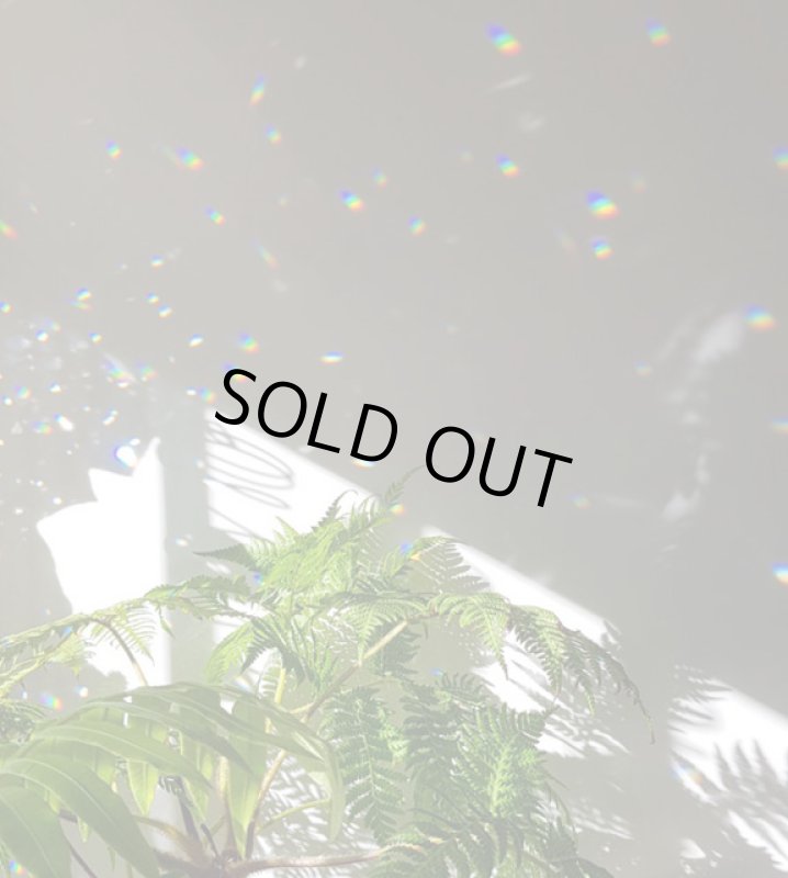 画像3: ☆11/14再UP☆ついに登場ぐるぐるサンキャッチャー!8月の満月の日に復活!レインボー水晶と5cmのガラスで繰り出す虹のハーモニー:太陽の目覚め (Solar Awakening)/ (3)