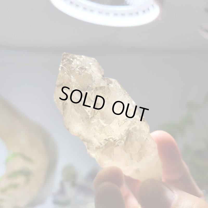 画像3: ☆07/14UP☆【大セール】カテドラル水晶 パキスタン産スモーキーハーキマーダイヤモンド　水入り：トーラス (3)