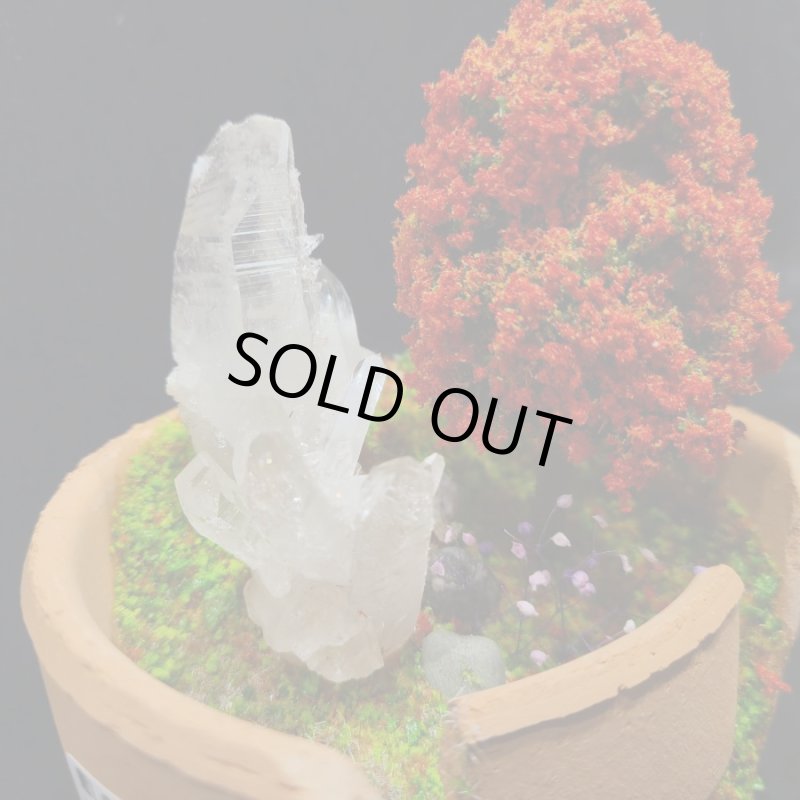 画像3: ☆11/23☆秋の実りのお庭シリーズ：EternalWing×月のかけらコラボ作品：月のかけら原石コレクション：実りのお庭3 (3)