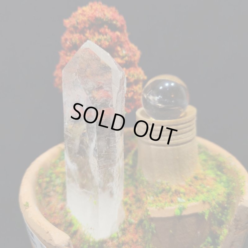 画像2: ☆11/23☆秋の実りのお庭シリーズ：EternalWing×月のかけらコラボ作品：月のかけら原石コレクション：実りのお庭9 (2)