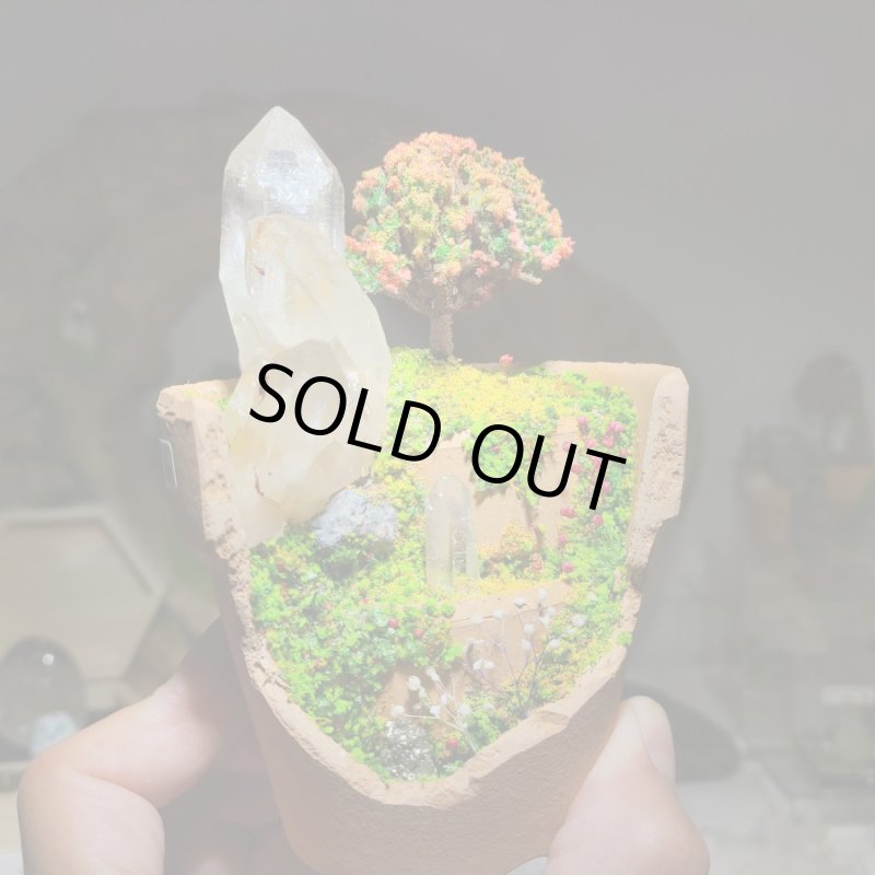 画像5: ☆11/23☆秋の実りのお庭シリーズ:EternalWing×月のかけらコラボ作品:月のかけら原石コレクション:実りのお庭6 (5)