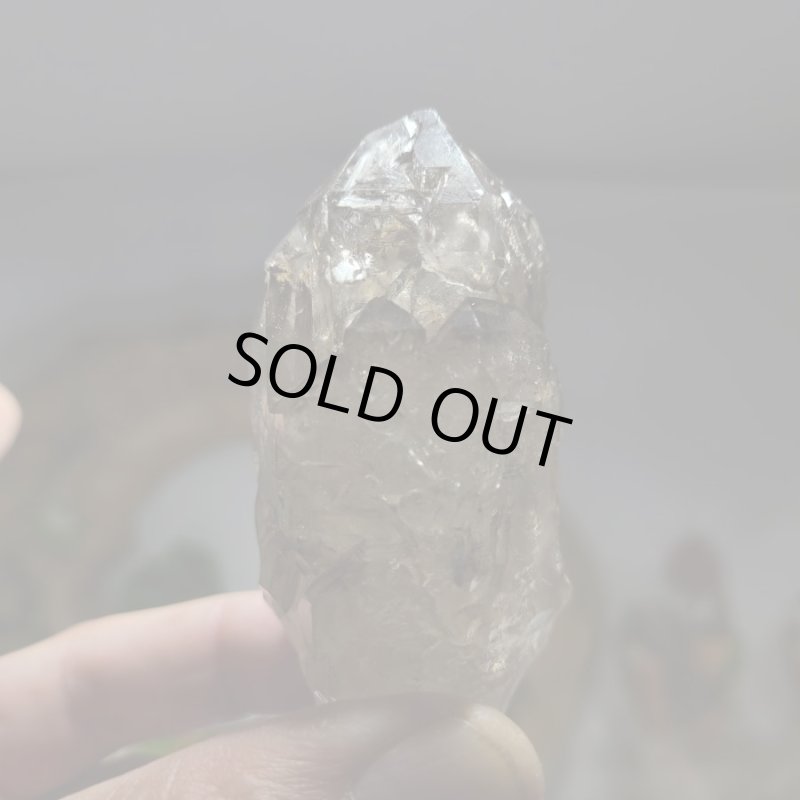 画像4: ☆11/23☆秋の実りのお庭シリーズ：EternalWing×月のかけらコラボ作品：月のかけら原石コレクション：実りのお庭10 (4)