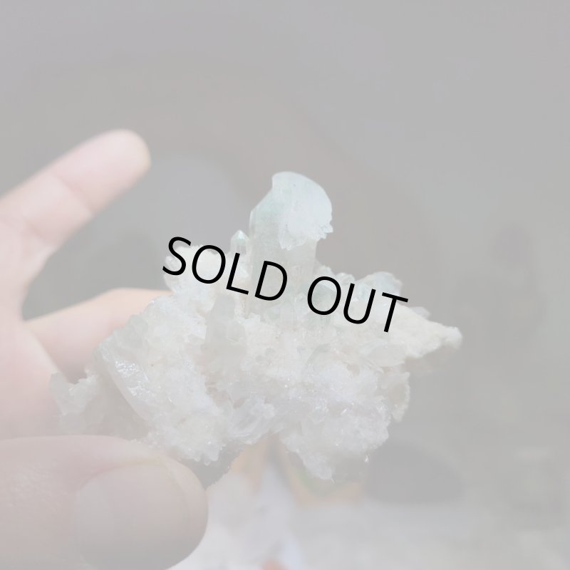 画像4: ☆11/23☆秋の実りのお庭シリーズ：EternalWing×月のかけらコラボ作品：月のかけら原石コレクション：実りのお庭8 (4)