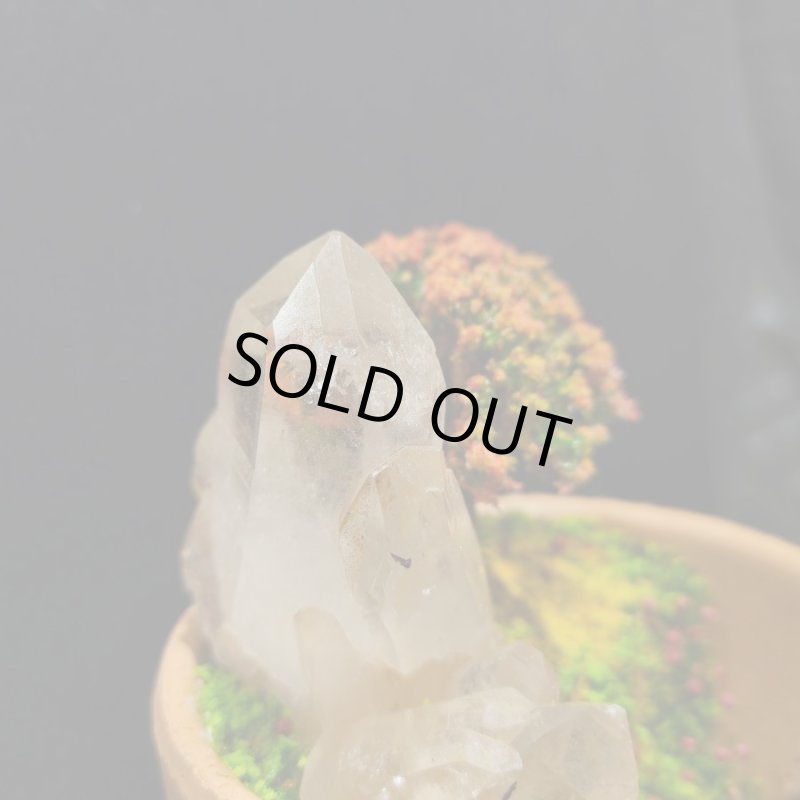 画像2: ☆11/23☆秋の実りのお庭シリーズ:EternalWing×月のかけらコラボ作品:月のかけら原石コレクション:実りのお庭6 (2)