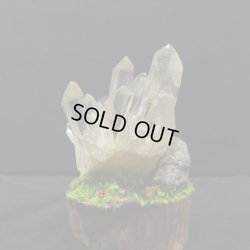 画像5: ☆11/23☆秋の実りのお庭シリーズ:EternalWing×月のかけらコラボ作品:月のかけら原石コレクション:実りのお庭1 (5)