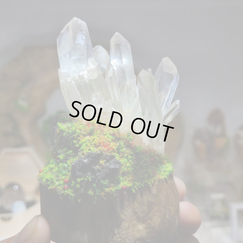 画像6: ☆11/23☆秋の実りのお庭シリーズ:EternalWing×月のかけらコラボ作品:月のかけら原石コレクション:実りのお庭1 (6)