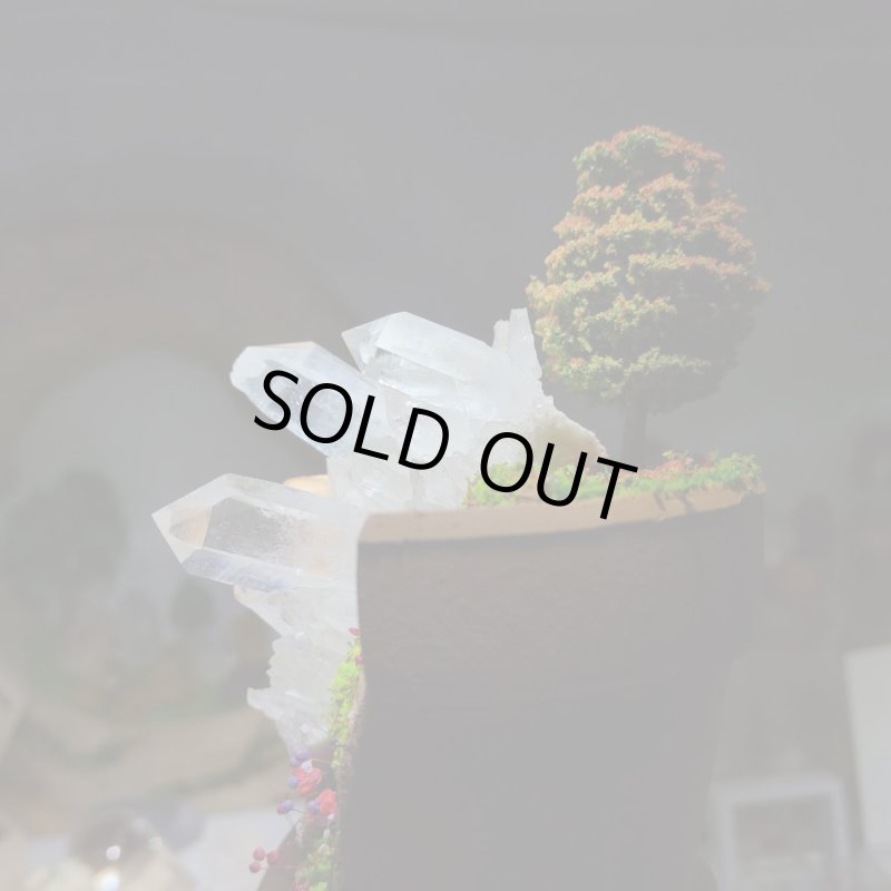 画像5: ☆11/23☆秋の実りのお庭シリーズ:EternalWing×月のかけらコラボ作品:月のかけら原石コレクション:実りのお庭5 (5)