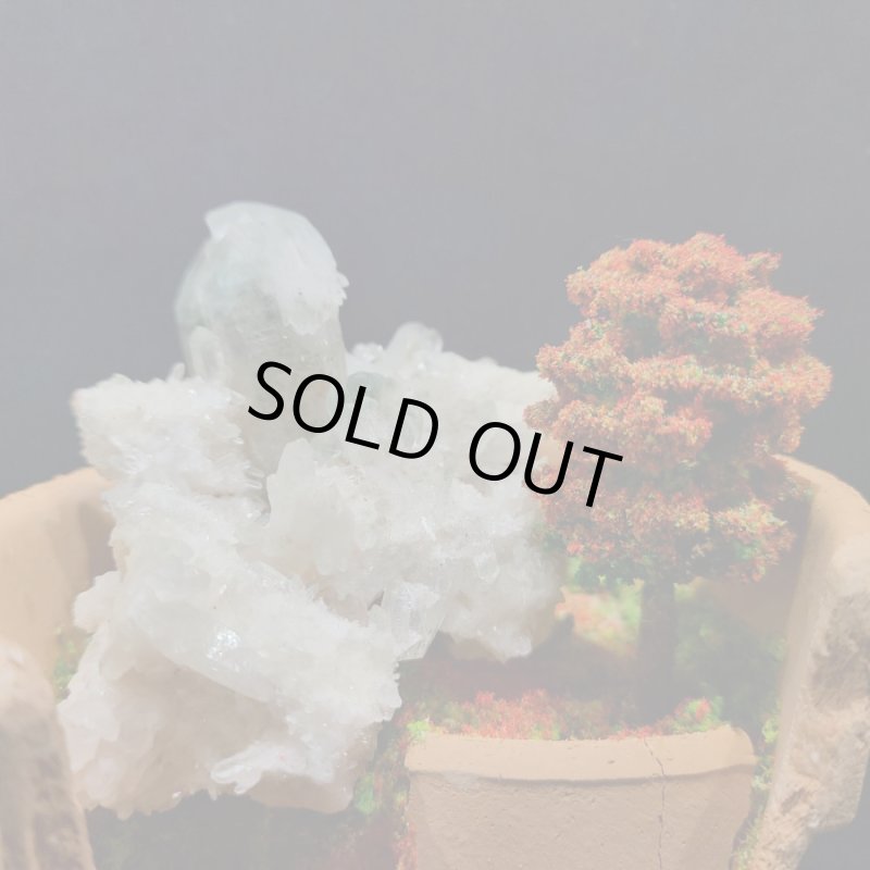 画像2: ☆11/23☆秋の実りのお庭シリーズ：EternalWing×月のかけらコラボ作品：月のかけら原石コレクション：実りのお庭8 (2)