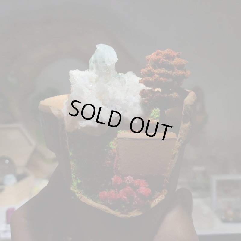 画像6: ☆11/23☆秋の実りのお庭シリーズ：EternalWing×月のかけらコラボ作品：月のかけら原石コレクション：実りのお庭8 (6)